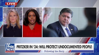 Chicago activist warns illegal immigrant criminals are ‘harassing and terrorizing’ Americans