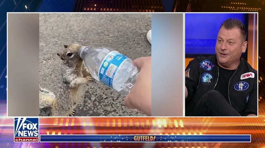 Celebrate Greg's animal friends