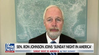 Democrats' open border policies are a clear and present danger to America: Sen. Ron Johnson - Fox News