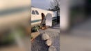Dad gives 1970s private jet a shocking update, uses original cockpit
