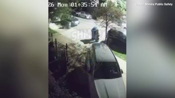 Four sought after swastikas deface homes, synagogues and Holocaust plaque