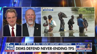 GOP lawmaker puts Temporary Protected Status policies on blast: ‘Go fix your country'