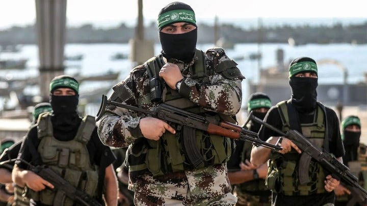 Hamas is trying to manipulate the world: Maj Gen Dana Pittard