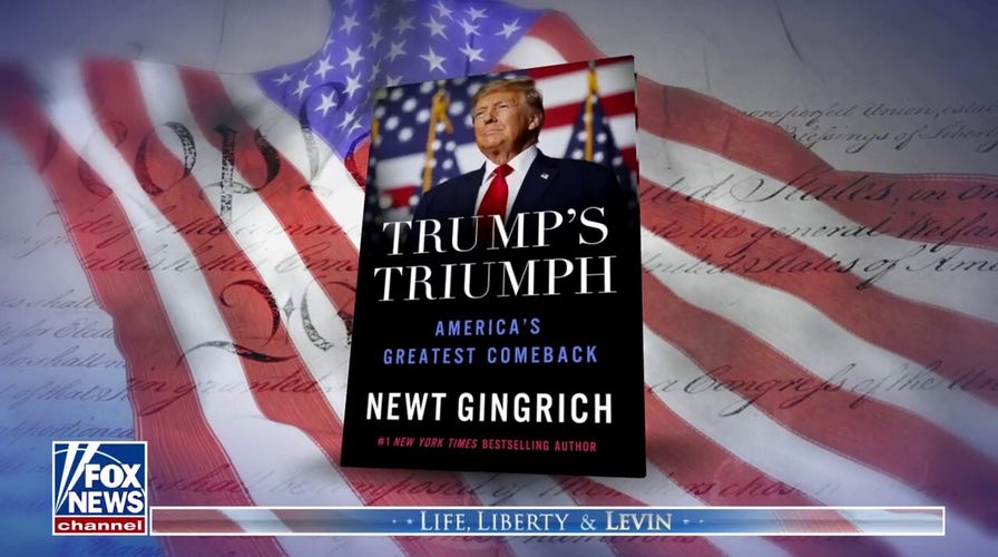 Newt Gingrich: Nobody has gone through the 10 years Trump has gone through