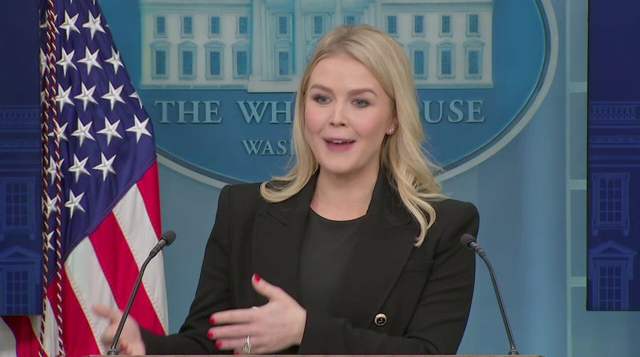 White House reacts to Democrat criticism of DOGE: 'It's unacceptable'