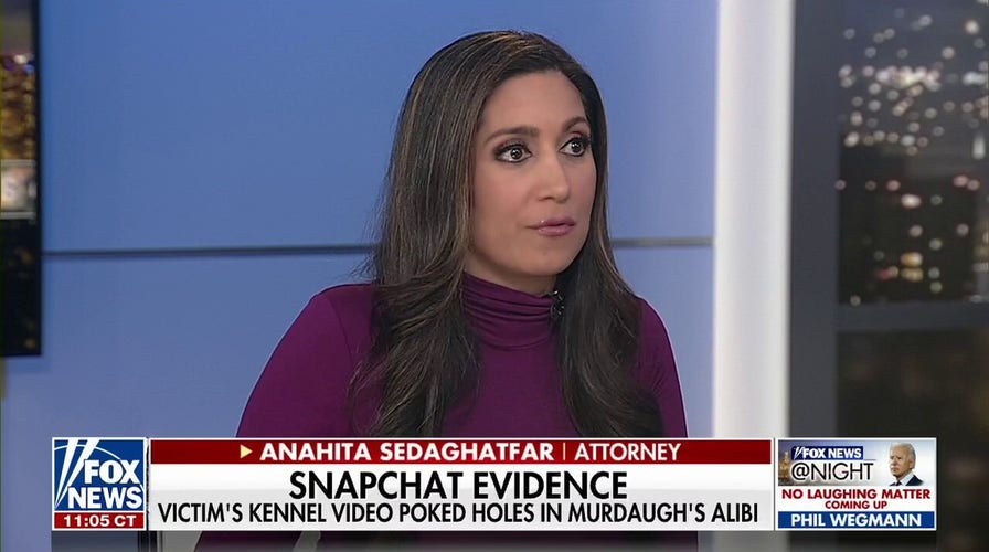 The Murdaugh jury based their decision on the kennel video and his lies: Anahita Sedaghatfar