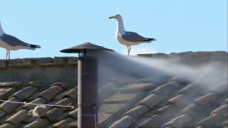 New pope elected by conclave