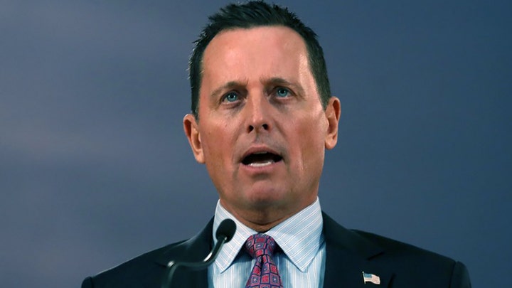 Grenell's experience called into question after being named acting DNI