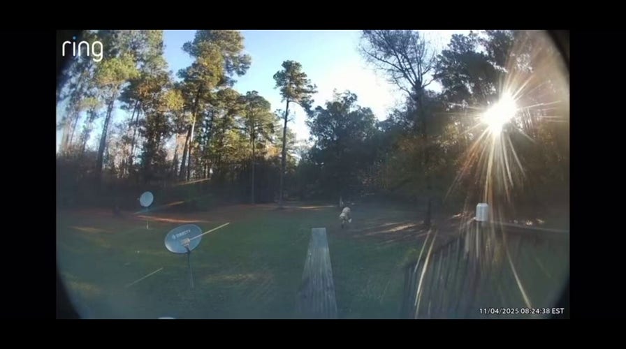 Home security video shows fugitive suspected of grandma's murder, deputy stabbing in North Carolina