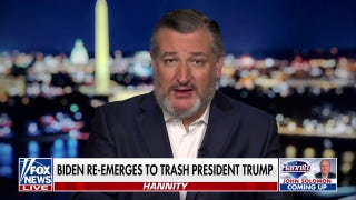  Ted Cruz: When you open up our southern border, Americans have a way of rejecting that - Fox News