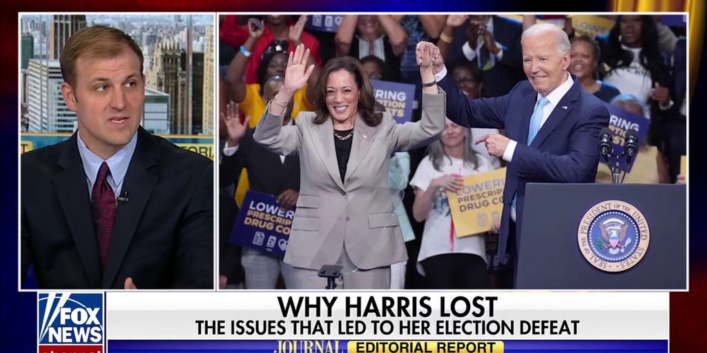 Blame Biden or Harris? The New Democratic Debate
