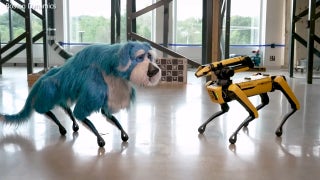 Meet Sparkles and Spot, the canine robots - Fox News
