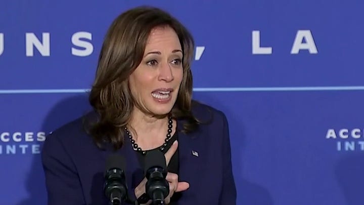 Gingrich: Harris' newest rambling remarks show she shouldn't represent US abroad