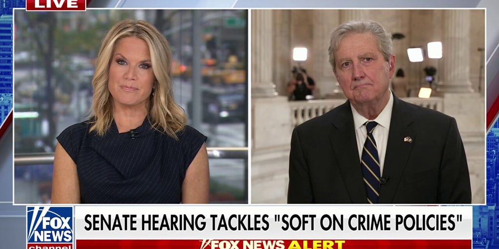 Sen. Kennedy calls out ‘crazed’ Democrats who support soft-on-crime policies