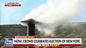 White smoke signals new pope has been chosen
