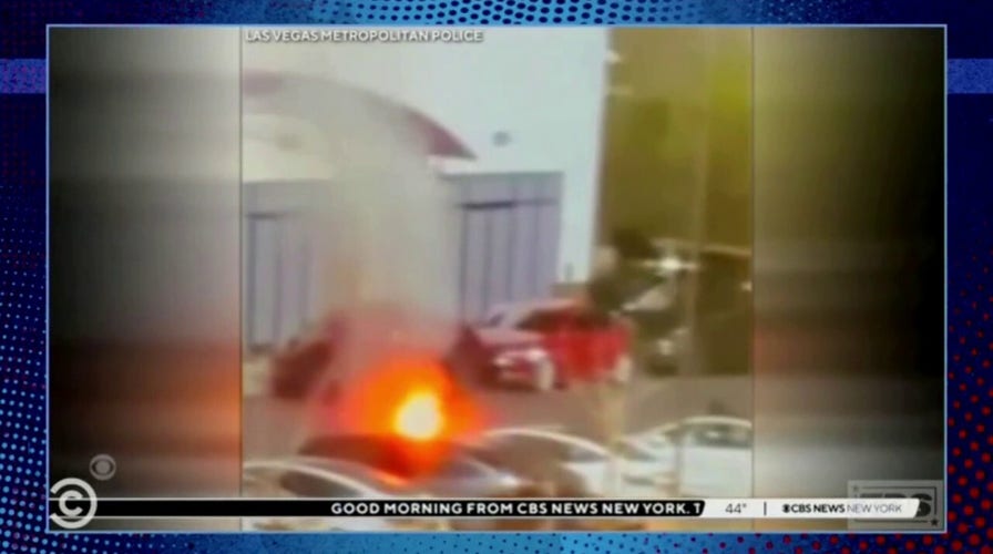 Comedy Central host calls out in-studio audience for applauding Tesla arsonists