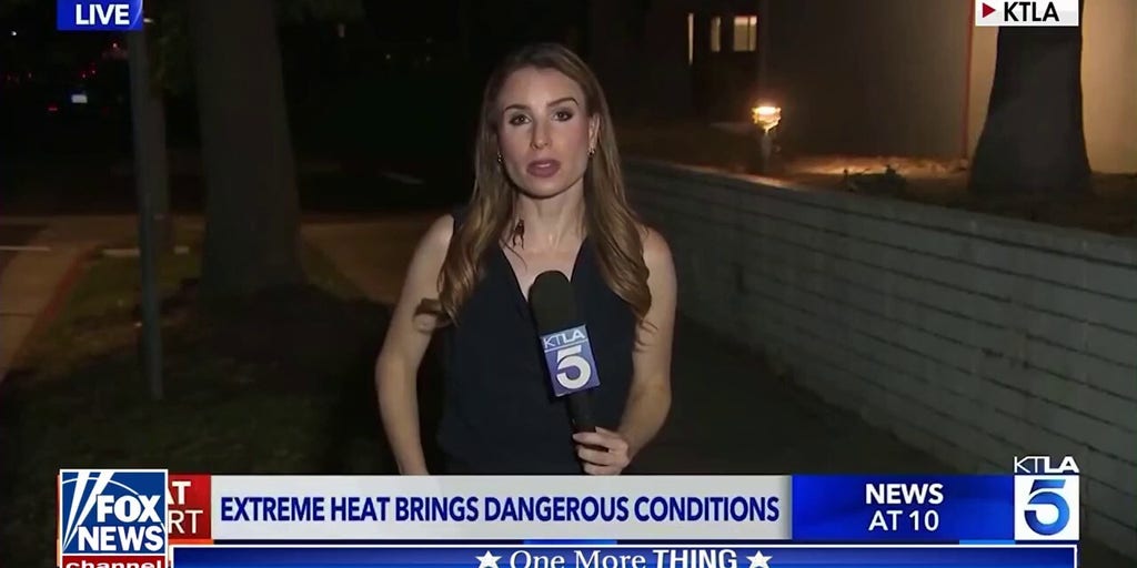 'The Five': Reporter handles bug like a pro