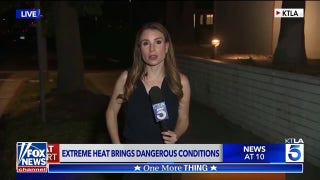 'The Five': Reporter handles bug like a pro