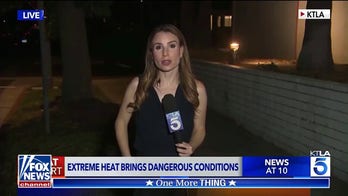 'The Five': Reporter handles bug like a pro
