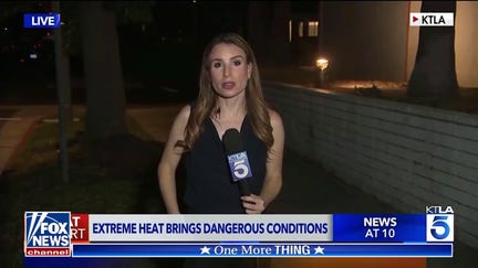 'The Five': Reporter handles bug like a pro