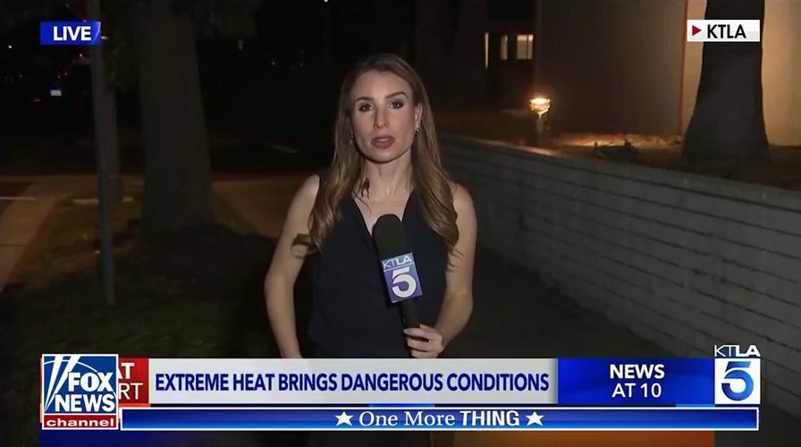 'The Five': Reporter handles bug like a pro