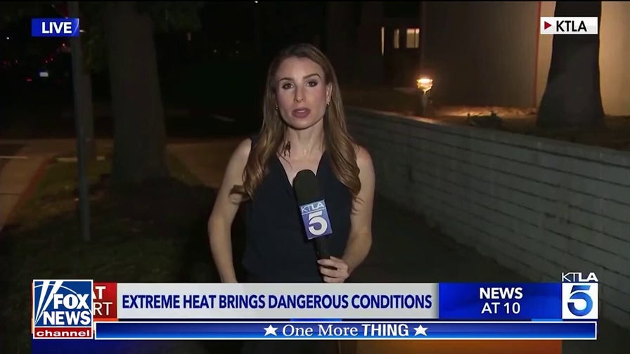 'The Five': Reporter handles bug like a pro