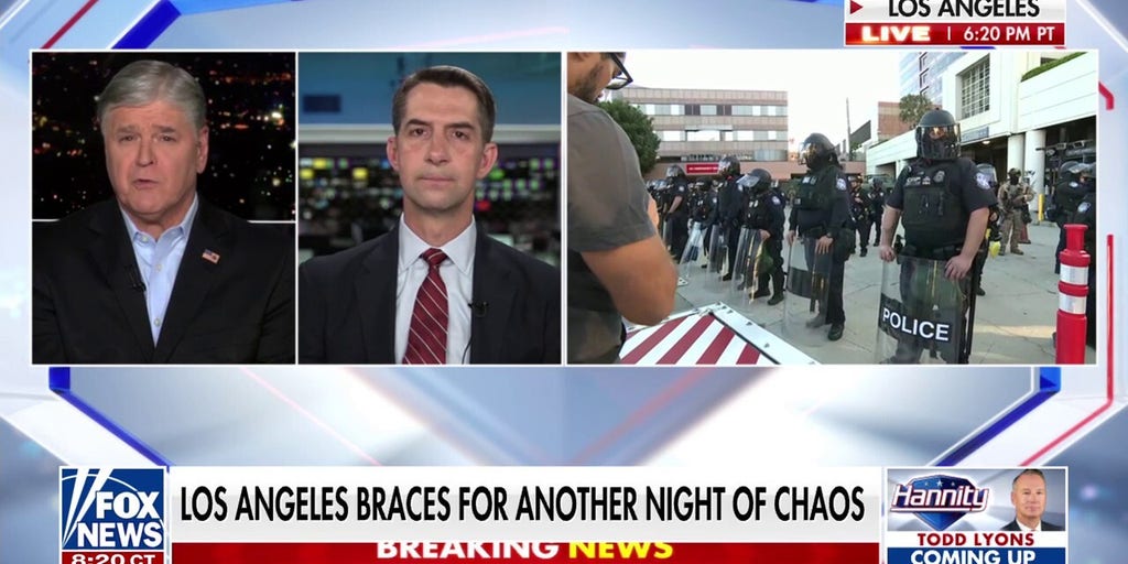 The mayor won't let the LA Police Department do its job, GOP lawmaker says