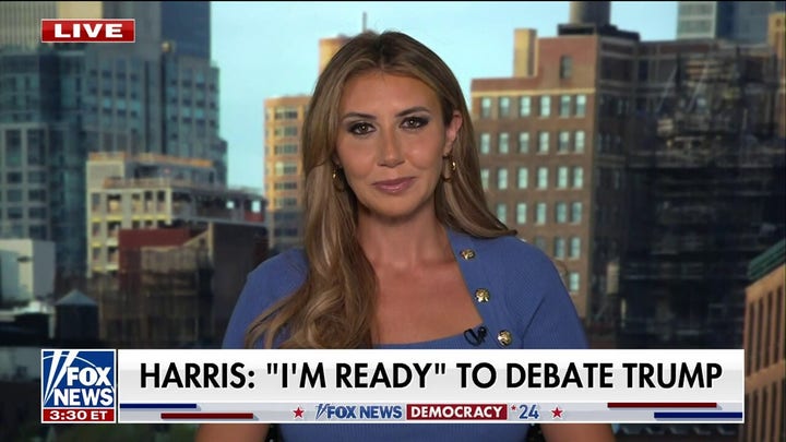 Democrats are in 'crisis,' don't know who the candidate will be: Alina Habba