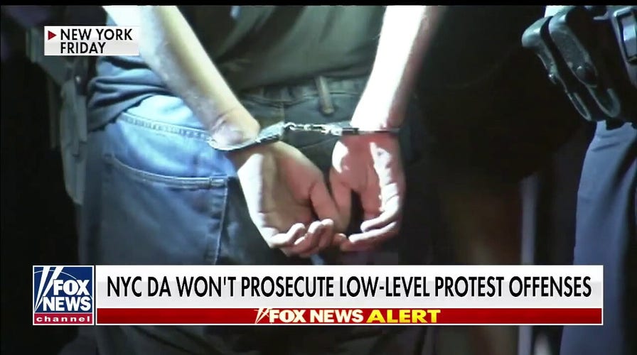 Ted Williams on why NYC DA is right to not prosecute low-level protest offenses