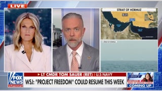 'Project Freedom' could soon resume: Report