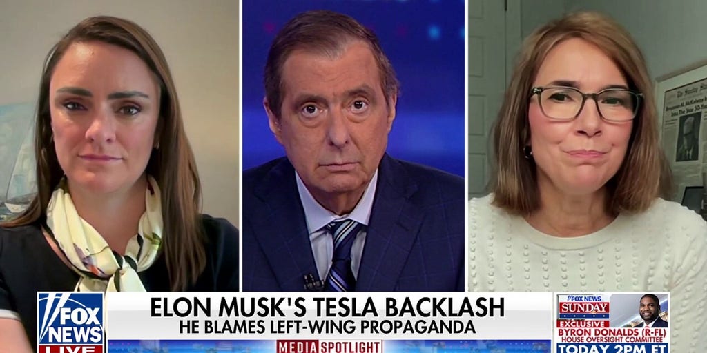 Elon Musk blames left-wing propaganda for Tesla backlash