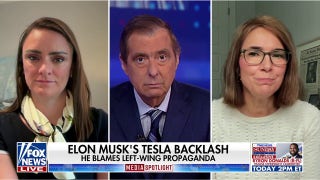 Elon Musk blames left-wing propaganda for Tesla backlash - Fox News