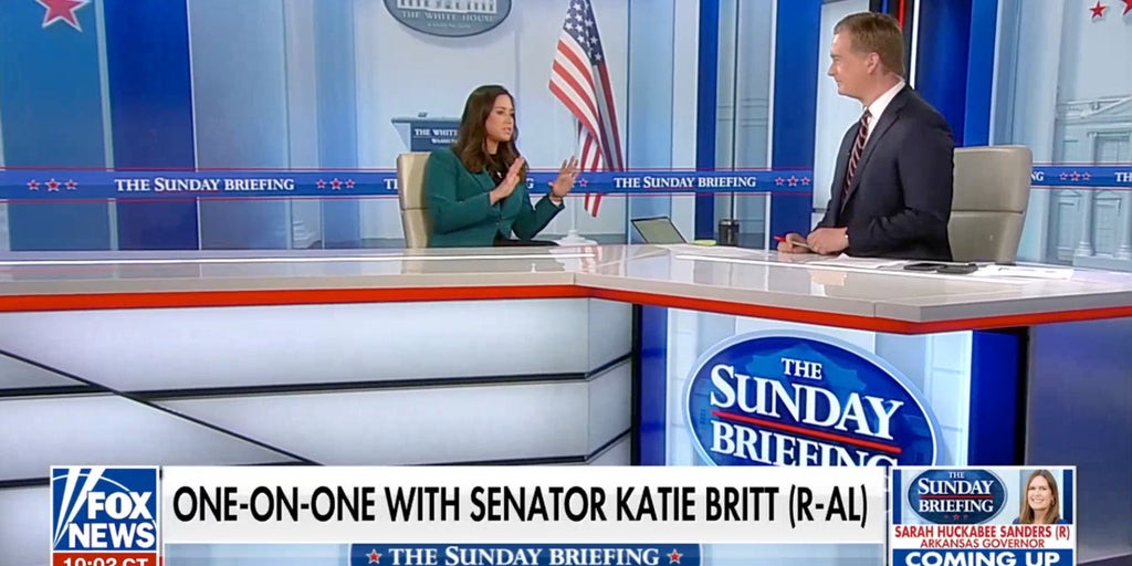 Elon Musk offers to pay TSA workers as partial government shutdown continues