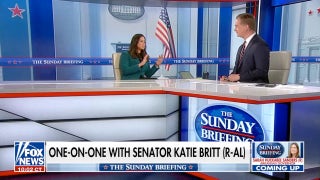 Elon Musk offers to pay TSA workers as partial government shutdown continues