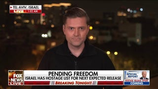 Temporary cease-fire holds as hostages and prisoners released - Fox News