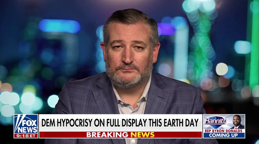 Democrats are 'terrified' of Trump's 'change agent' Cabinet, top Republican argues