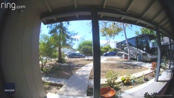 Anne Heche's car seen speeding moments before crash in doorbell cam video
