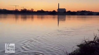 Beaver caught swimming in the Potomac River at sunrise - Fox News