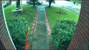 Texas grandmother killed after self-driving Tesla crashes into home
