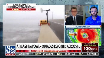 Venice, Fla. official: Emergency services locked down, not safe