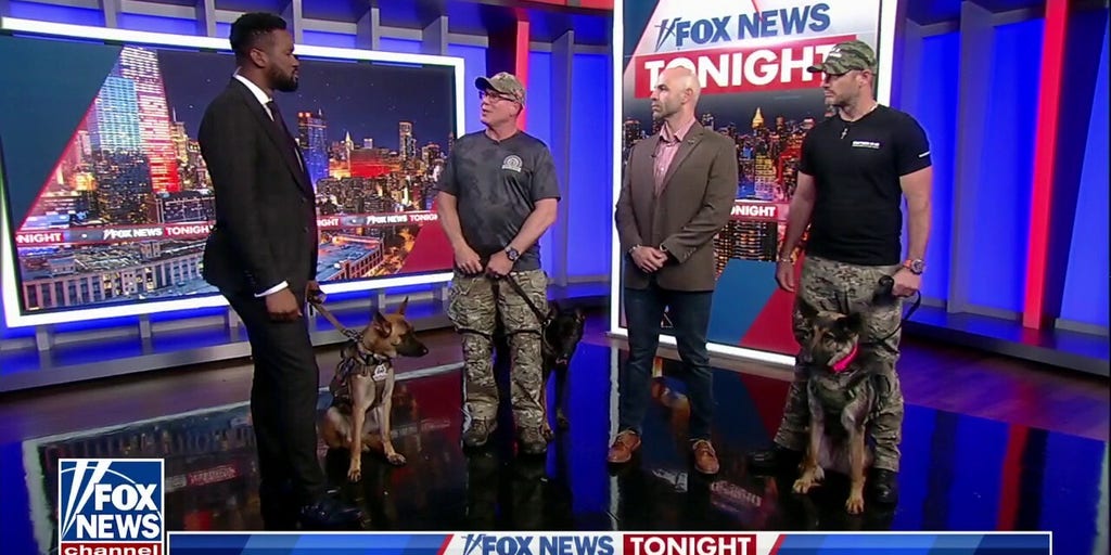 Military veteran officially gets his new service dog | Fox News Video