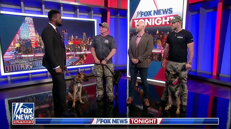 Military veteran officially gets his new service dog