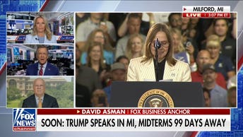 If Democrats nominate El-Sayed in Michigan, GOP will have an 'excellent shot': Karl Rove