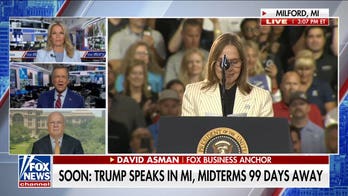 If Democrats nominate El-Sayed in Michigan, GOP will have an 'excellent shot': Karl Rove