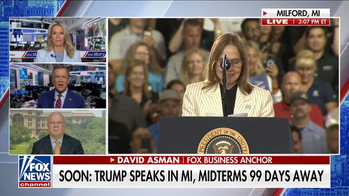 If Democrats nominate El-Sayed in Michigan, GOP will have an 'excellent shot': Karl Rove