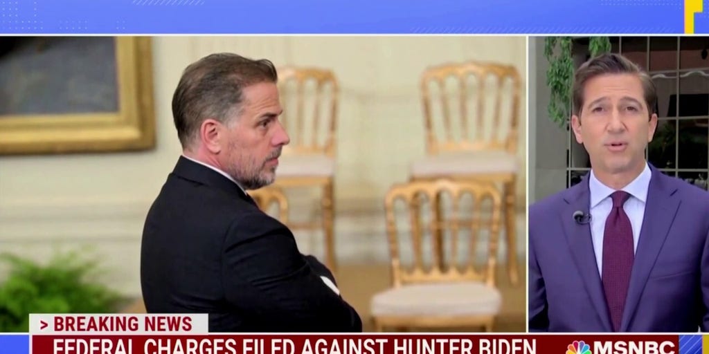 NBC Reporter Declares Plea Deal A 'significant Victory’ For Hunter ...