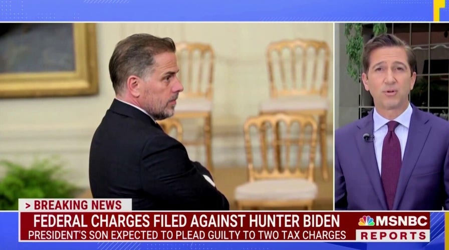 NBC reporter declares plea deal a 'significant victory’ for Hunter Biden