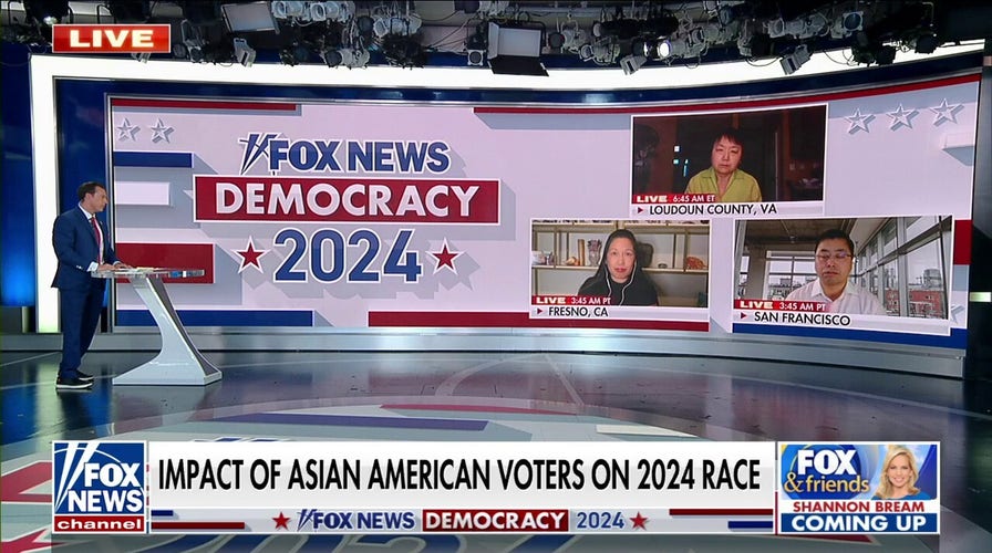 Impact of Asian American voters on 2024 race