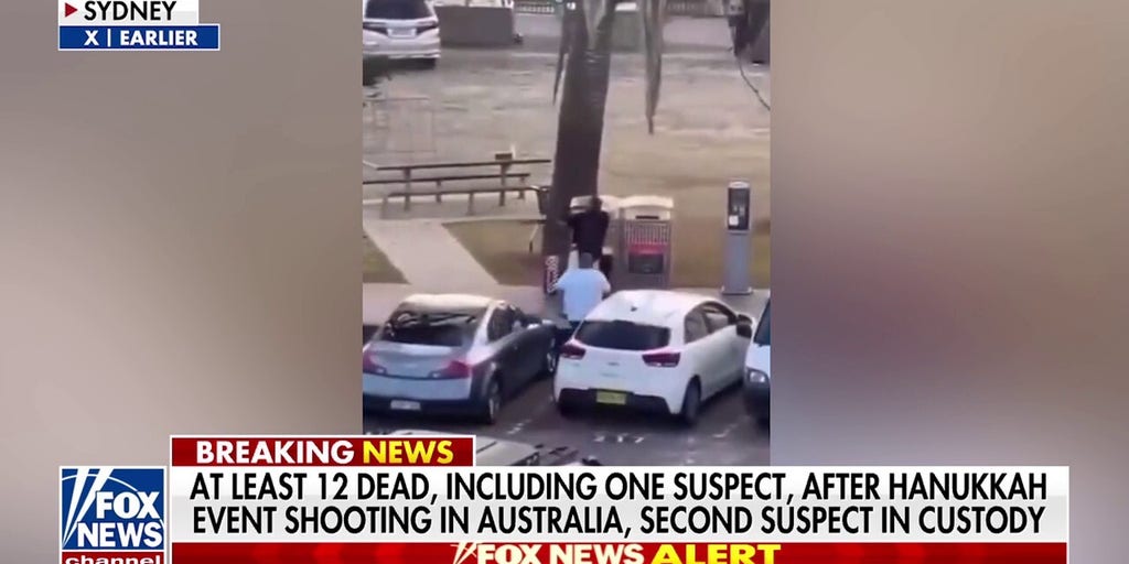 Bystander to Australian terror attack tackles suspected shooter