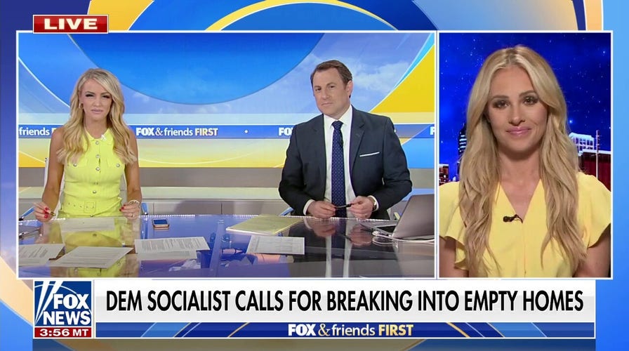 Radical Democratic Party tells people to be 'lawless': Tomi Lahren